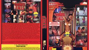 ZFX - As Darkness Falls Full Movie-MOV Format