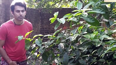 South Asian couple shares passionate intimacy after her traditional bath