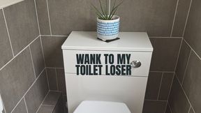 Wank to my toilet