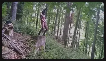 Wild Adventure: Masked and Netted, Urinating in the Woods