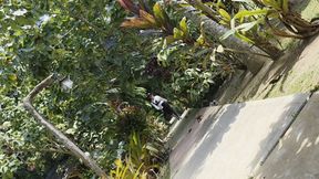 Merciless whipping of my ATM Slaveboy by Princess Nicolle