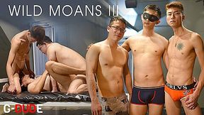 Wild Moans 3