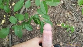 Hard Handjob in the Forest. Throbbing and Lots of Cum