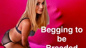 Begging To Be Breeded