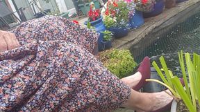 Dressed in the garden