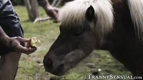 ”Gorgeous TS plowed & facialized by husbands co-worker”