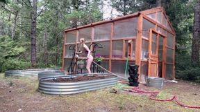 More Greenhouse Set up