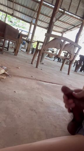 Come to jerk off outdoors. I met a girl sitting and watching, so I caught her and fucked her.   Clip 2
