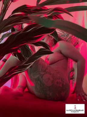 Red Passion Bts with Wetkittycity