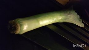 Leek fucks my ass to orgasm