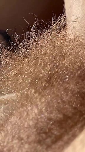 Bathe in the Forest of My Hairs
