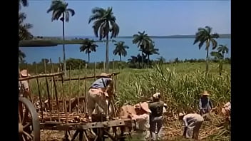 Week-end in Havana (vintage movie in portuguese)