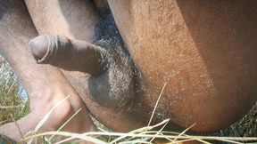 My New Hot Desi Porn Video in the Jungle