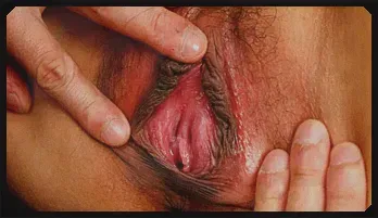 Cute and innocent Japane chick Reina Mizuki sucks cock