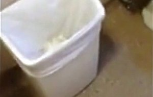 Osazo barbudo se pajea en wc publico