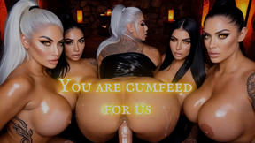 You are CumFeed for Us