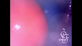 INSIDE ASS POV: The Eggs disappeared in the hole ...