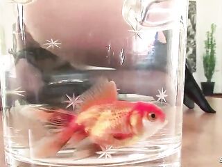 Eager hairless head female Boss entice Ebony Monster Rod Worker to Interracial Unfathomable Screw at Office