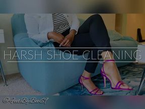 Harsh Shoe Cleaning
