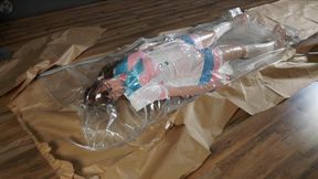 A gift or doll in a vacuum bag