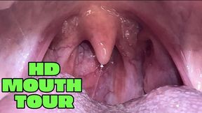 HD Mouth Tour