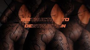 Instructions To Destruction JOI