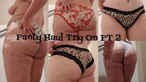 NEW Panty Haul Try On PT 2