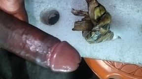 15inch Strong Desi Pains and Cute Small bhabhi f Fuck