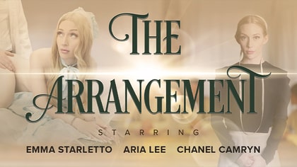 The Arrangement (Reptyle Features Launch)