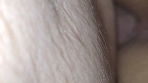 Doggystyle Ass To Pussy And Back Again