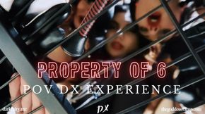 Property of 6 Mistresses - POV dominatrix experience ⛓️😈