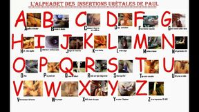 alphabet  insertions urethra of paul en 19 min fast motion