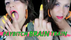 PayBitch Brain Training (no music)