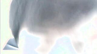 Harsh finger polishing leading to heavy pipe adore by kpn684