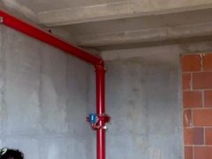 Shhh! Exhibitionist caught touching herself in public