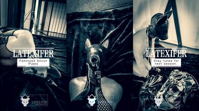 Latex Feminized Silicon Puppy Slave in Bondage