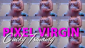 Virgin Pixel Fincuck Training