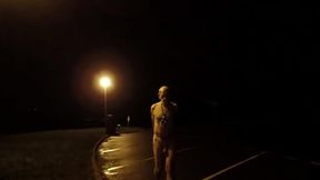 exhibition nu a l'_aire de repos de nuit