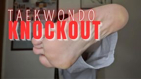 Taekwondo K0 | Soft humiliation, fast kicks