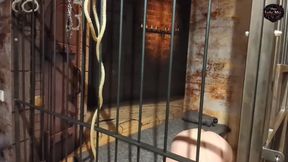 Torture of Terror for the Slave - Slave in Jail - Part 2