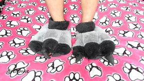 tender slippers