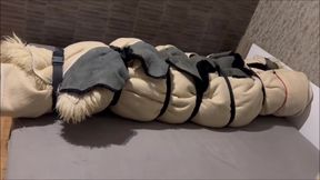 Fur Fetish Bondage Orgasm Compilation 04.2026