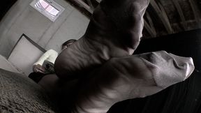 Pantyhose Feet That Stink, 1st