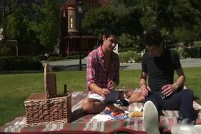 Picnic With The Kick