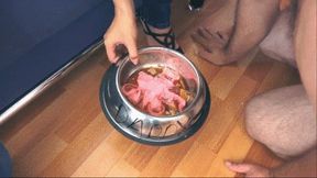 THE PIG:THE MOST DEGRADING CUM EATING CUCKOLD TREATMENT EVER! (720p HQ)