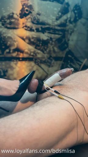 Mistress Lisa Electro Play