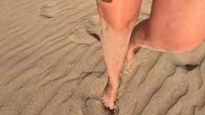 Caught stroking at the public beach and stayed with blow job