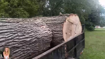 120yr old oak tree Table making