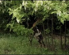 Blonde Pussy Licking Lesbians From Germany Having Fun Outdoor