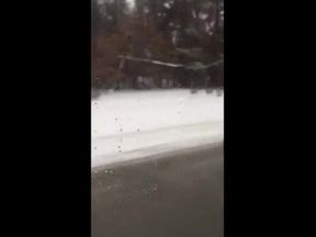Head while driving to Toronto